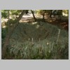 PICT0915.jpg