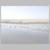 camargue4.jpg
