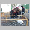 ferme04.jpg