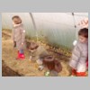 potager_05.JPG