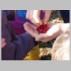 potager_11.JPG
