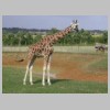 zoo22.jpg