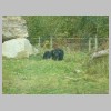 zoo23.jpg