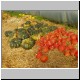 potager_04.JPG